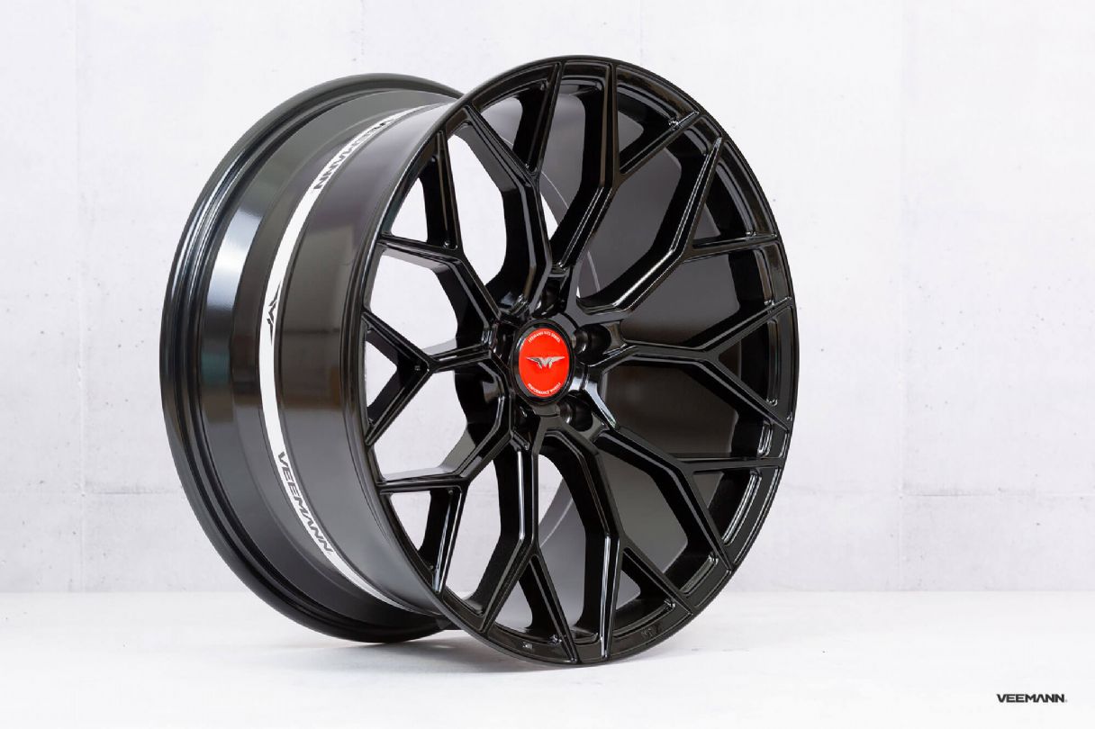 V-FS66 (BG) - V-FS66